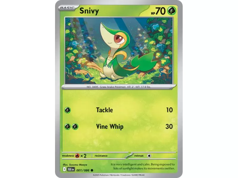 Snivy (Common/Reverse Holofoil) – Black Bolt SV10.5 | Carta POKEMON en México