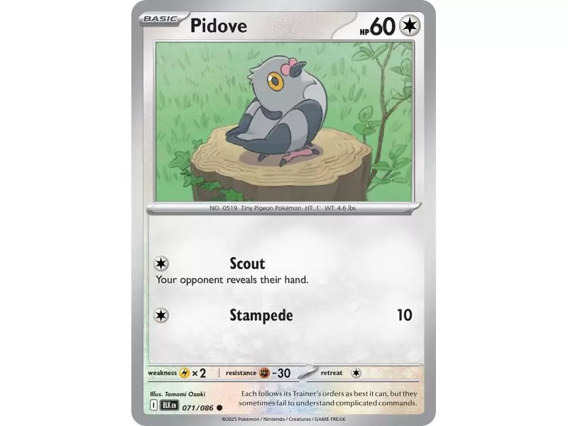 Pidove (Common/Reverse Holofoil) – Black Bolt SV10.5 | Carta POKEMON en México
