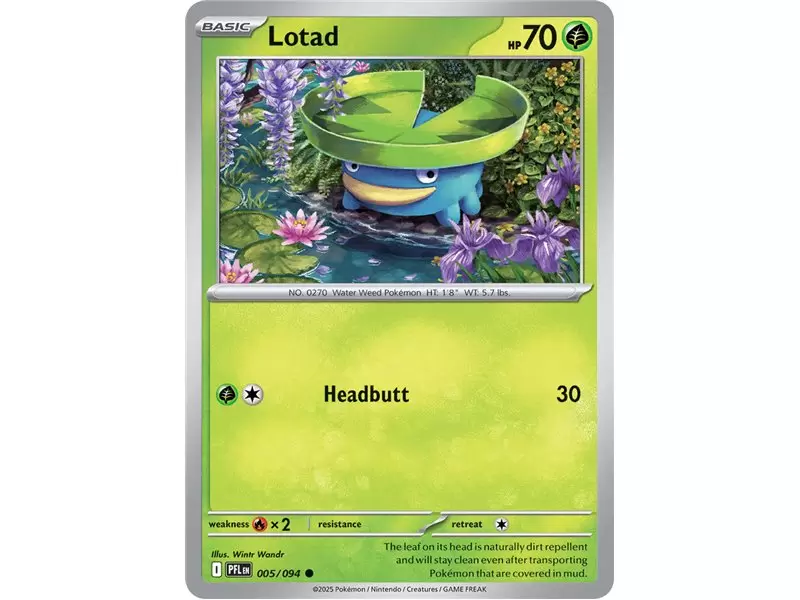 Lotad (Common)