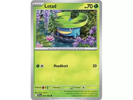 Lotad (Common)