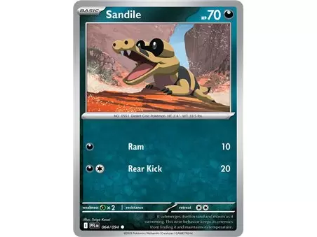 Sandile (Common)