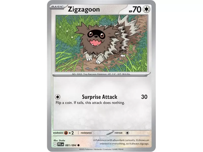 Zigzagoon (Common)