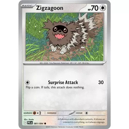 Zigzagoon (Common/Reverse Holofoil)