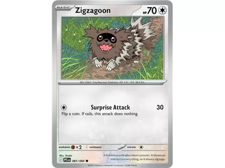Zigzagoon (Common/Reverse Holofoil)