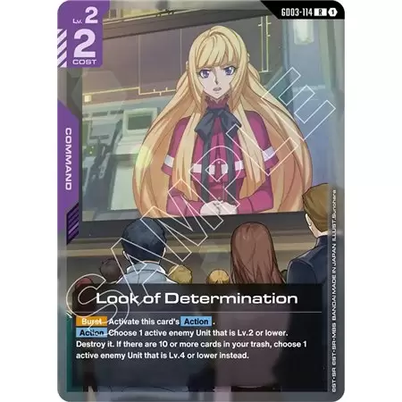 Look of Determination (Rare)