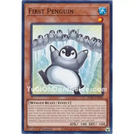 First Penguin (Common)