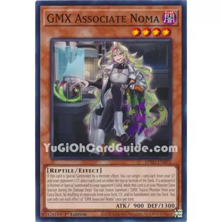 GMX Associate Noma (Common)