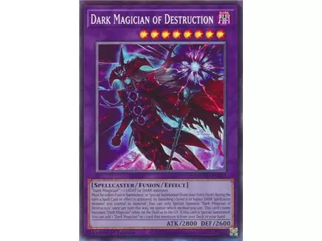 Dark Magician of Destruction (Collector's Rare)