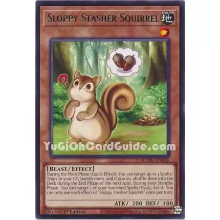 Sloppy Stasher Squirrel (Rare)