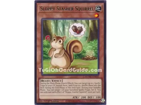 Sloppy Stasher Squirrel (Rare)