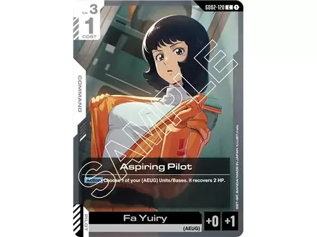 Aspiring Pilot (Common)