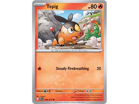 Tepig (Common)