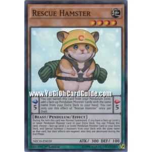 Rescue Hamster (Super Rare) – The New Challengers | Carta YUGIOH en México