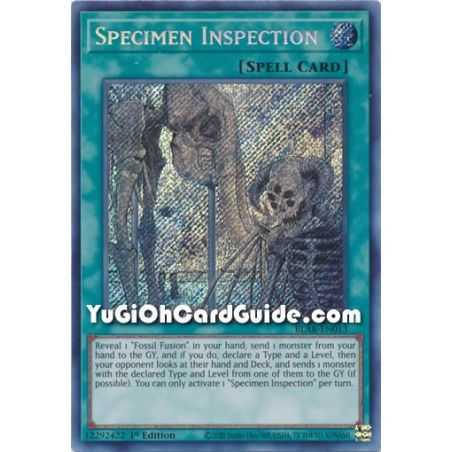 Specimen Inspection (Secret Rare) – Battles of Legend Armageddon | Carta YUGIOH en México
