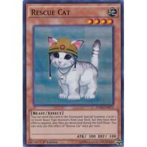 Rescue Cat (Ultra Rare) – Duelist Saga | Carta YUGIOH en México