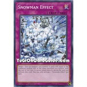 Snowman Effect (Common) – Dark Neostorm | Carta YUGIOH en México