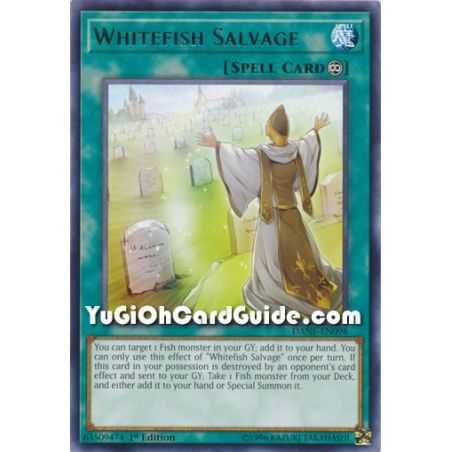 Whitefish Salvage (Rare) – Dark Neostorm | Carta YUGIOH en México