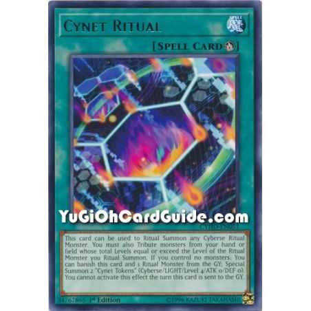 Cynet Ritual (Rare) – Cybernetic Horizon | Carta YUGIOH en México