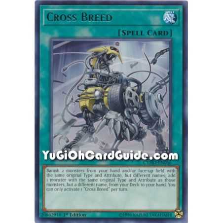 Cross Breed (Rare) – Cybernetic Horizon | Carta YUGIOH en México