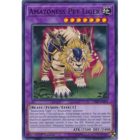 Amazoness Pet Liger (Common) – Circuit Break | Carta YUGIOH en México