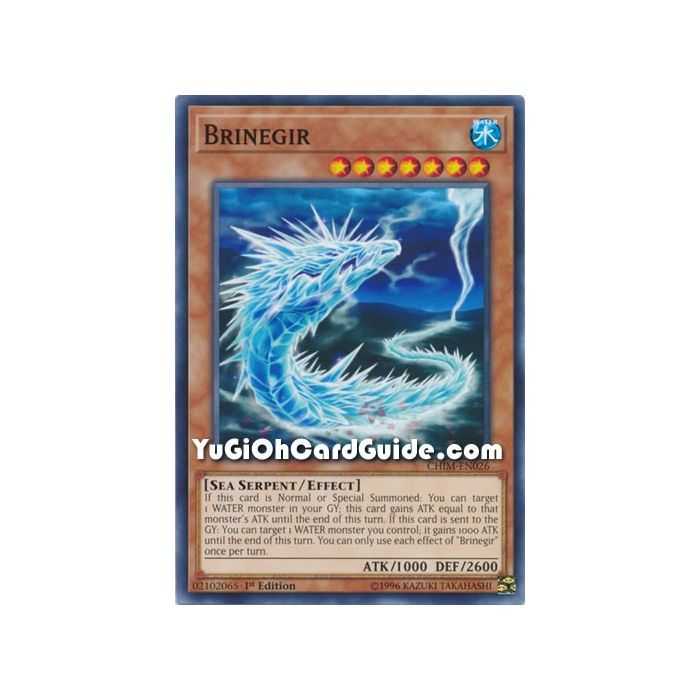Brinegir (Common) – Chaos Impact | Carta YUGIOH en México