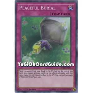Peaceful Burial (Super Rare) – Chaos Impact | Carta YUGIOH en México