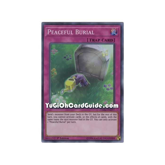 Peaceful Burial (Super Rare) – Chaos Impact | Carta YUGIOH en México