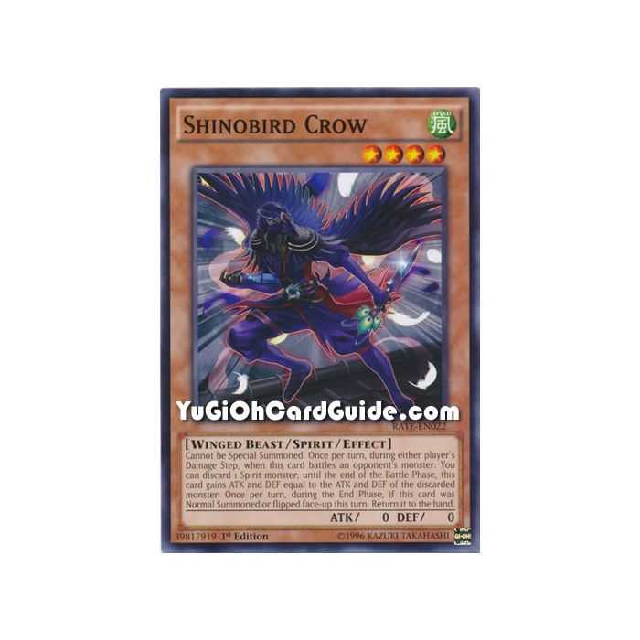 Shinobird Crow (Common) – Raging Tempest | Carta YUGIOH en México