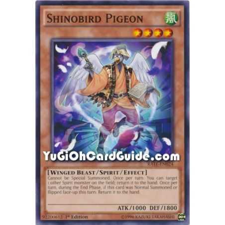 Shinobird Pigeon (Common) – Raging Tempest | Carta YUGIOH en México