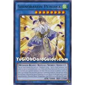 Shinobaron Peacock (Rare) – Raging Tempest | Carta YUGIOH en México