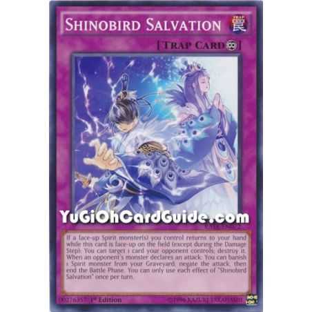 Shinobird Salvation (Common) – Raging Tempest | Carta YUGIOH en México