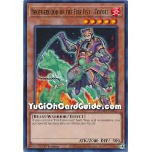 Brotherhood of the Fire Fist - Coyote (Rare) – Maximum Gold | Carta YUGIOH en México