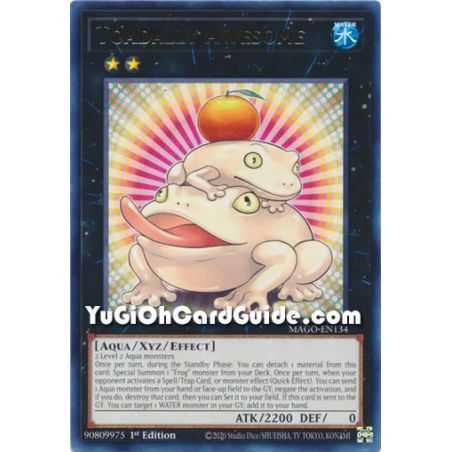 Toadally Awesome (Rare) – Maximum Gold | Carta YUGIOH en México