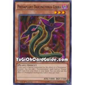 Predaplant Darlingtonia Cobra (Common) – Maximum Crisis | Carta YUGIOH en México