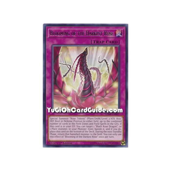 Blooming of the Darkest Rose (Rare) – Legendary Duelist Sisters of the Rose | Carta YUGIOH en México