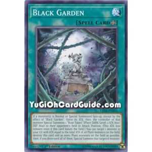 Black Garden (Common) – Legendary Duelist Sisters of the Rose | Carta YUGIOH en México