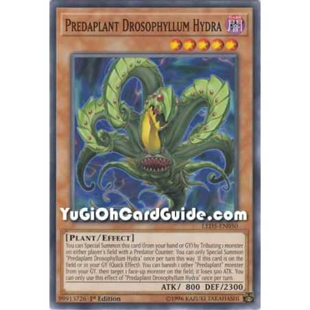 Predaplant Drosophyllum Hydra (Common) – Legendary Duelist Immortal Destiny | Carta YUGIOH en México