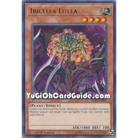 Ibicella Lutea (Rare) – Ignition Assault | Carta YUGIOH en México