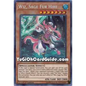 Wiz, Sage Fur Hire (Secret Rare) – Dark Saviors | Carta YUGIOH en México